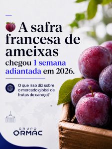 Safra de ameixa na França começa adiantada em 2026, impactos para a importação de frutas no Brasil