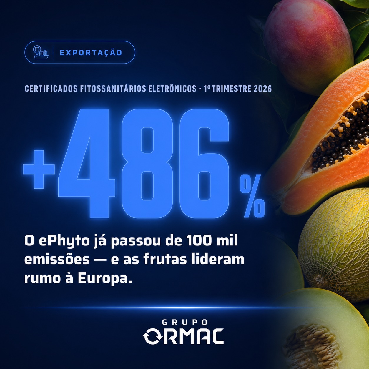 ePhyto passa de 100 mil certificados: o que muda na exportação de frutas do Brasil